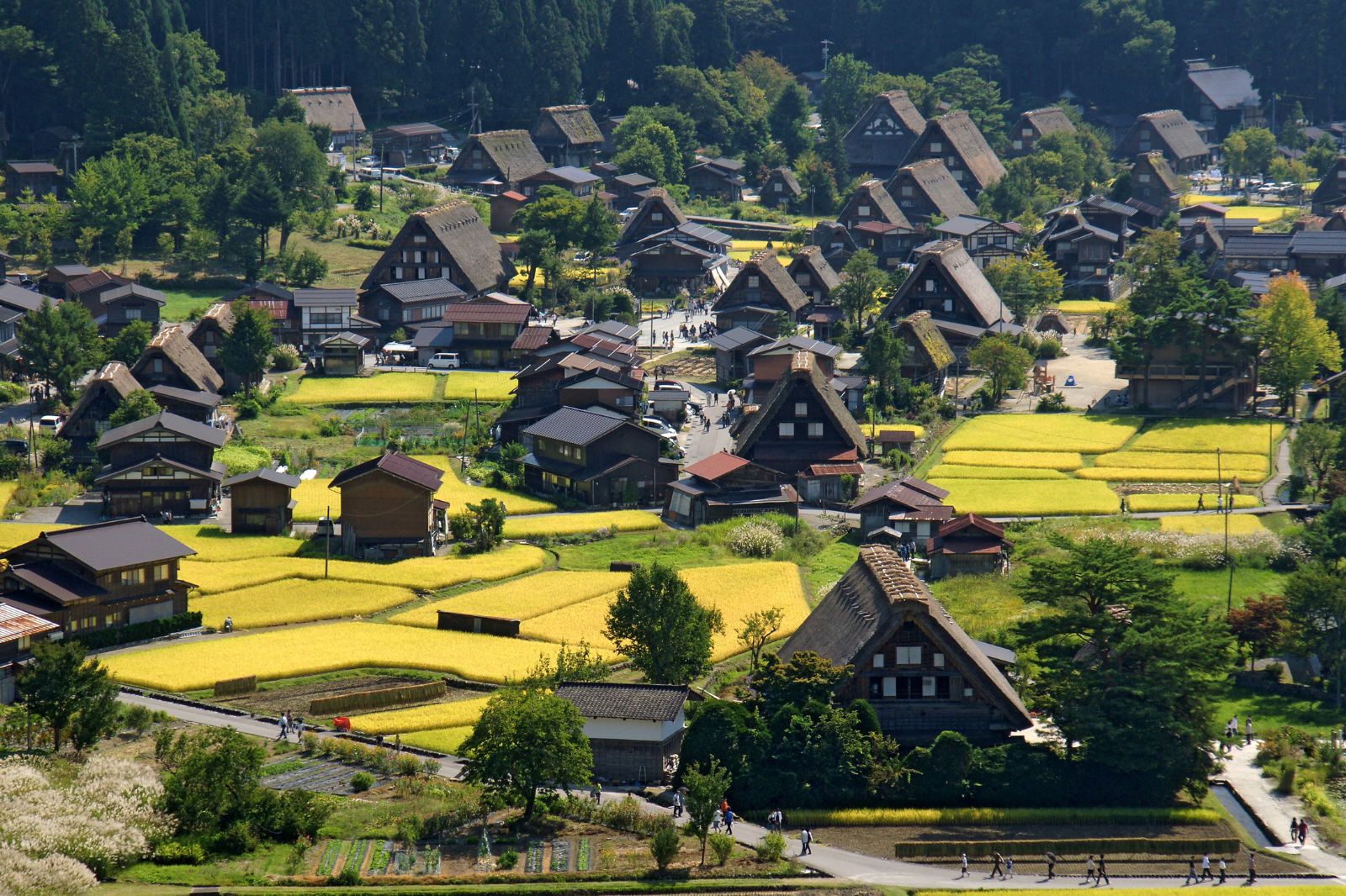 Takayama to Shirakawa to Gokayama to Kanazawa