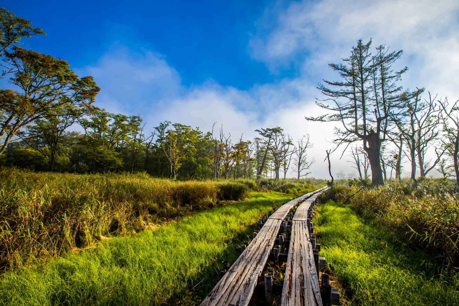 Walk Japan’s Hidden Path: Tōhoku’s Hidden Trails & Onsen | 13-Day Trip ...
