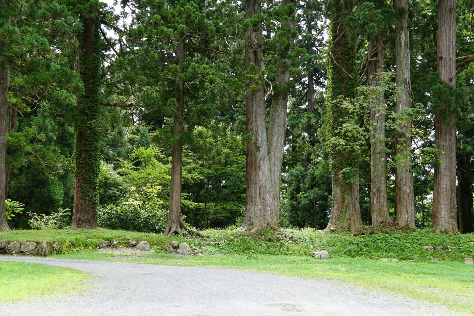 Dewa Sanzan (Mount Gassan)