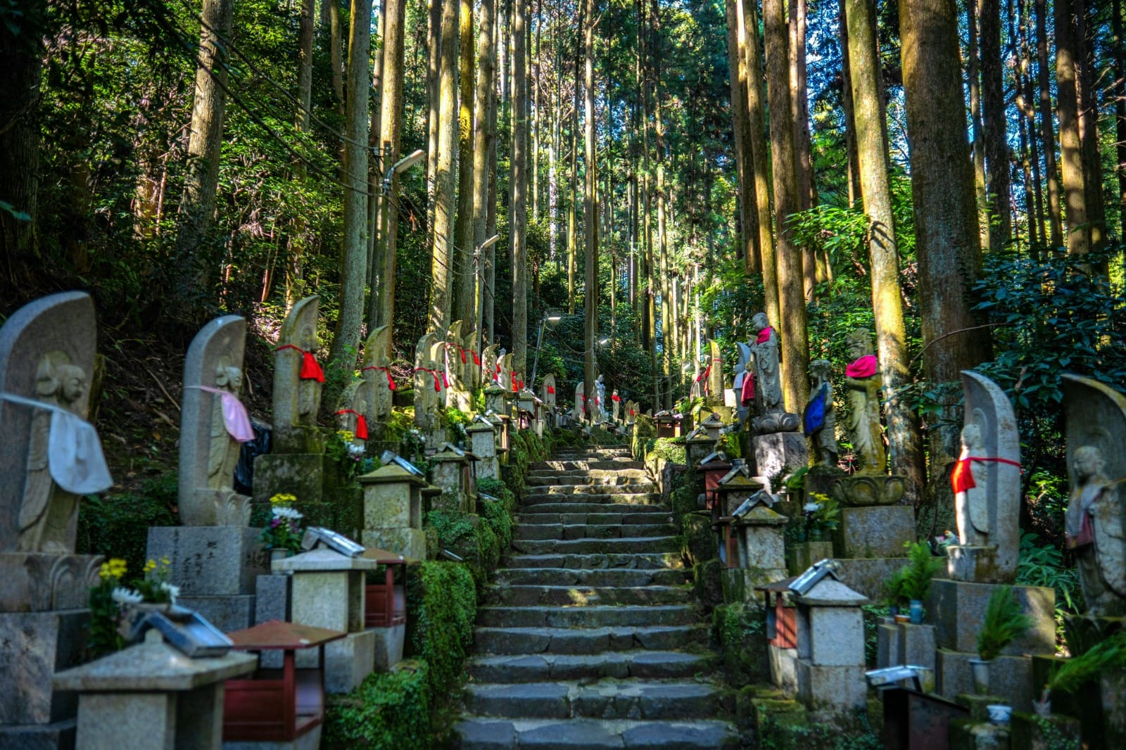 Walk Japan's Hidden Path: Shikoku Pilgrimage
