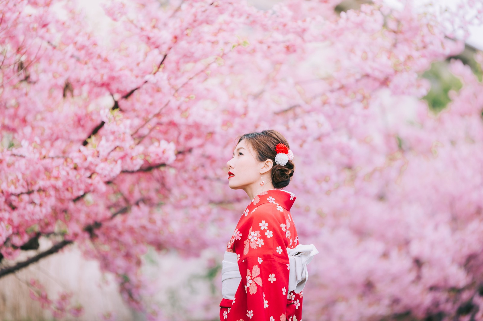 A Taste of Japan: Self-Guided Tokyo, Kyoto & Osaka with Shinkansen