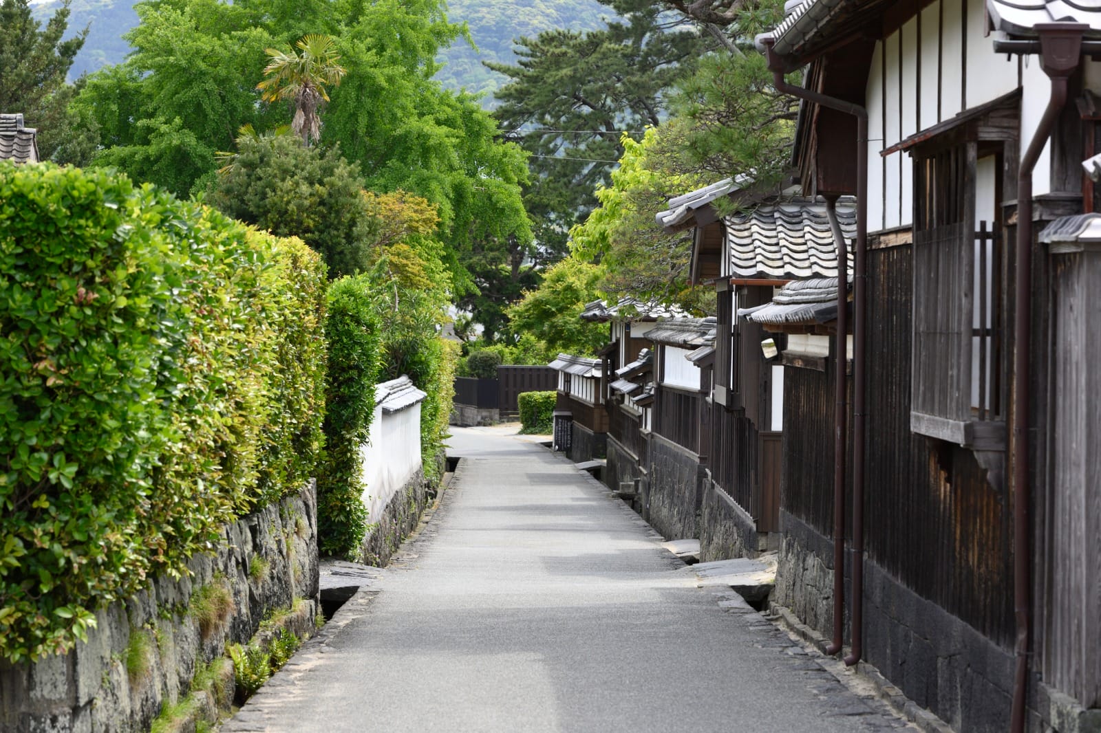 Hagi