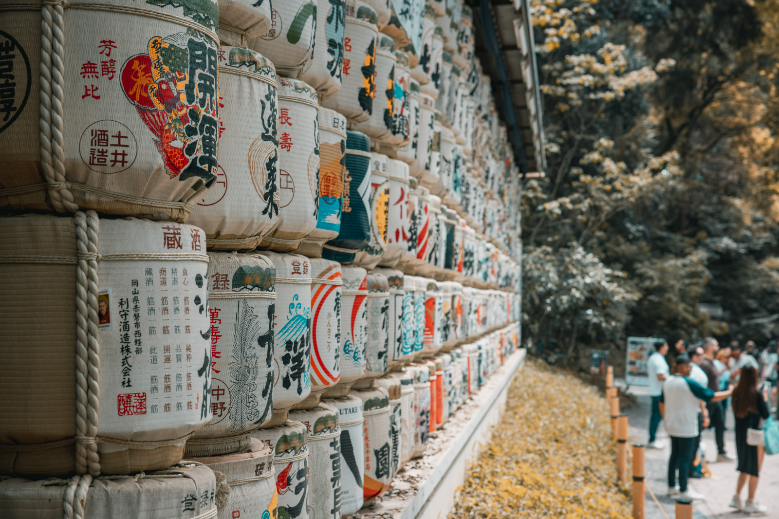 Japan, South Korea & Hong Kong Wonders Unlocked: Tokyo, Seoul & Hong Kong Your Way