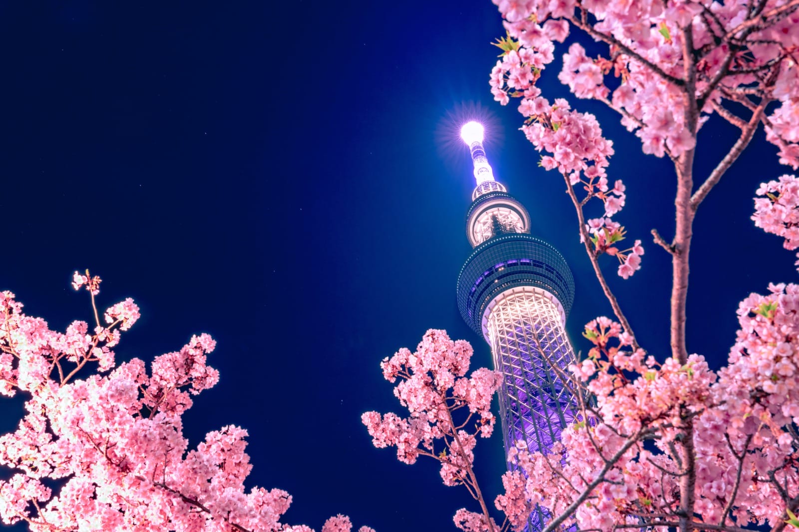 Tokyo