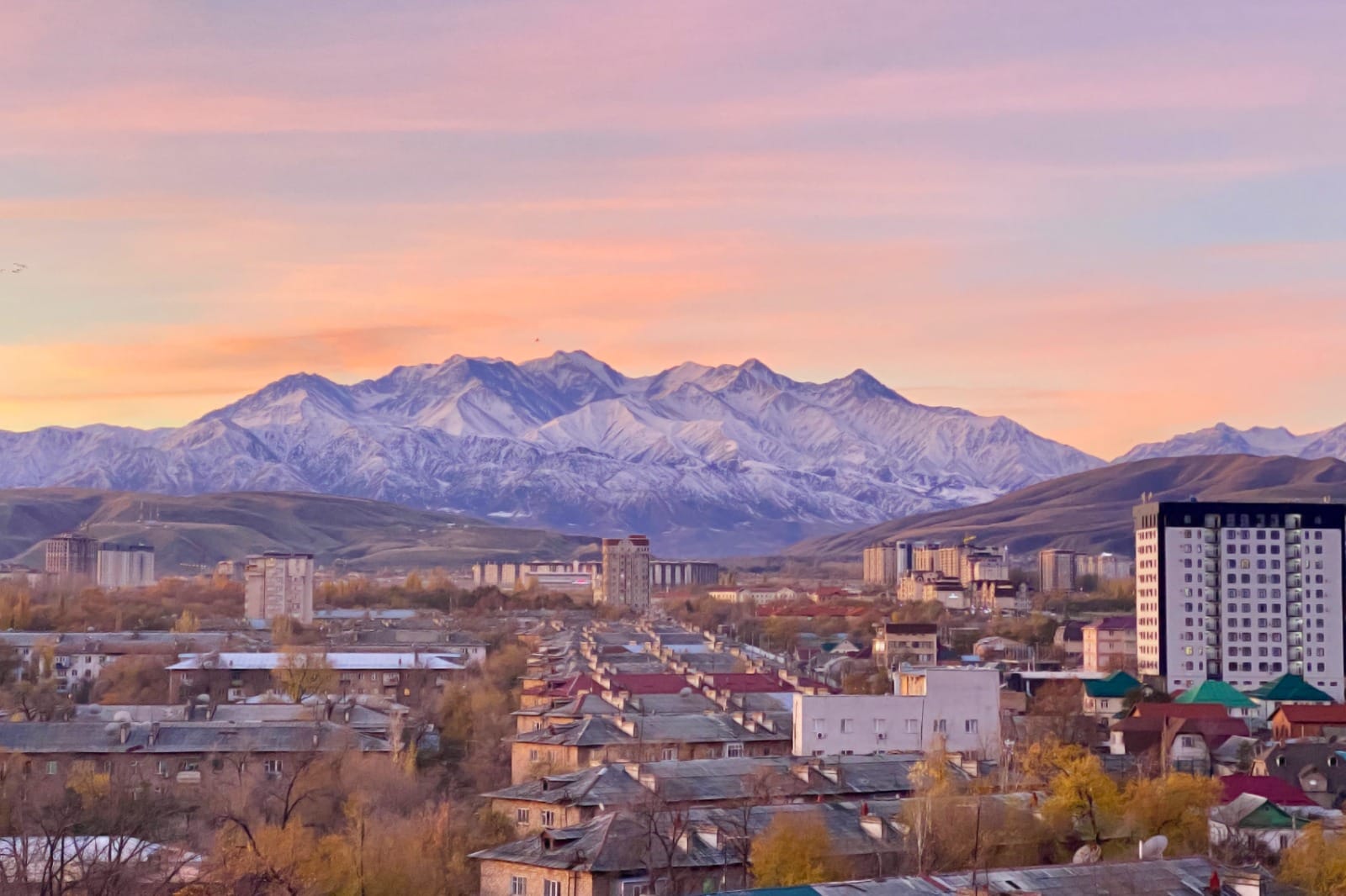 Bishkek to Tashkent