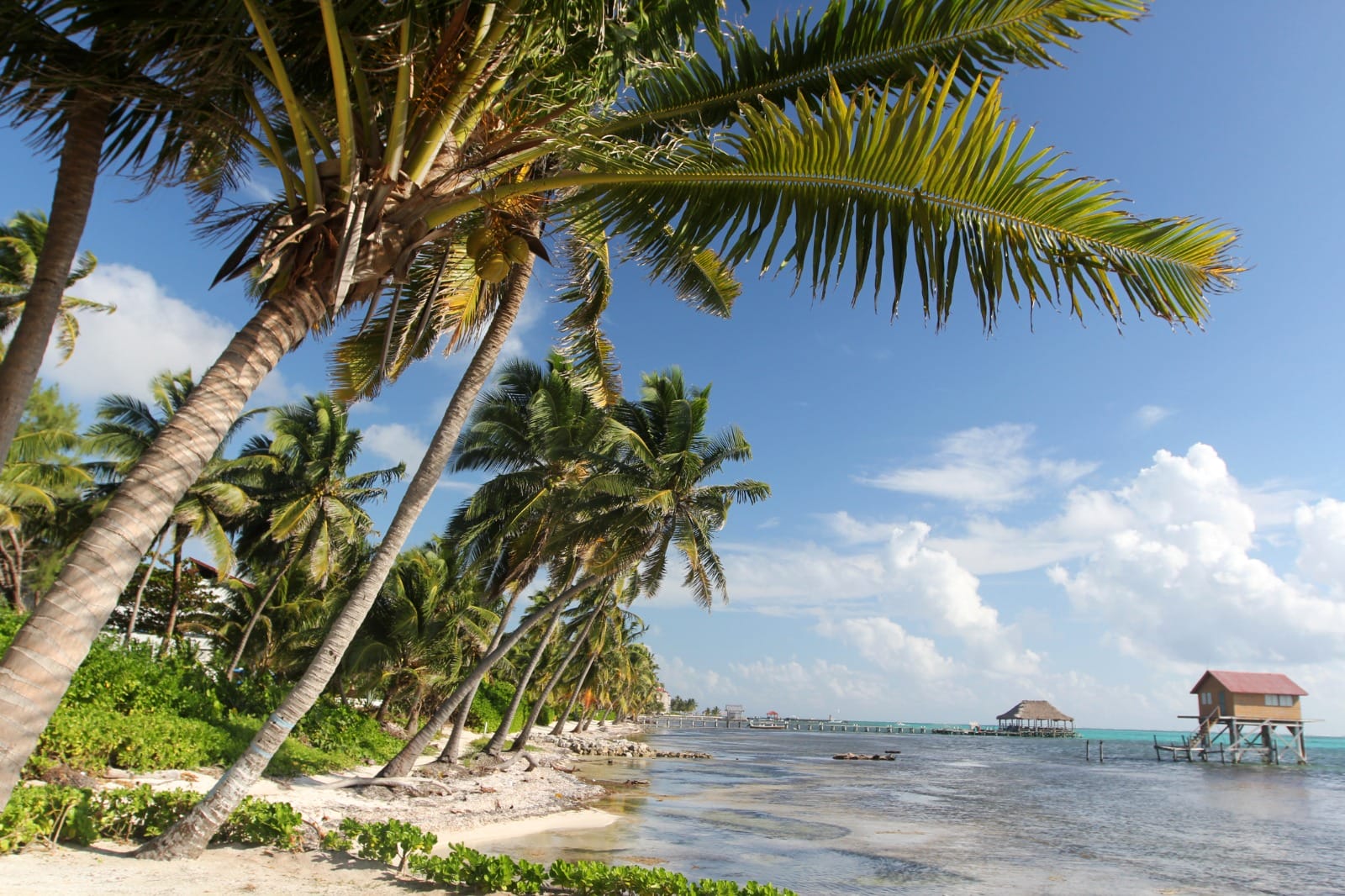 San Pedro