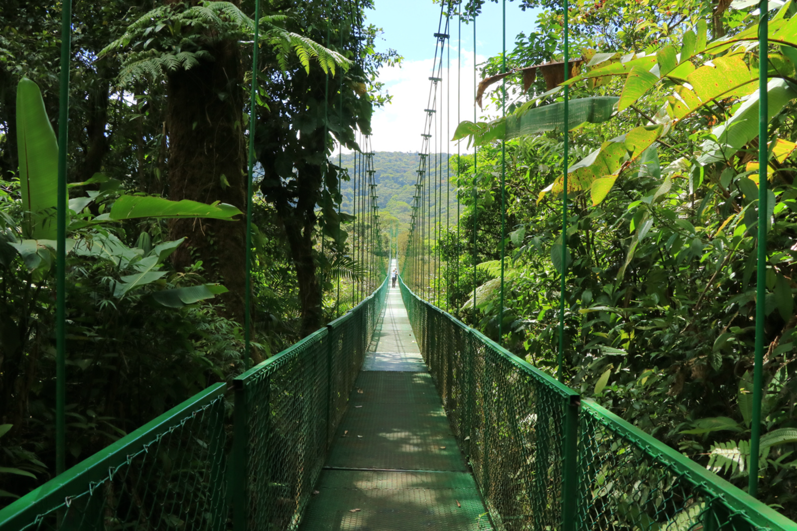 Costa Rica Unveiled: Hot Springs to Cloud Forest