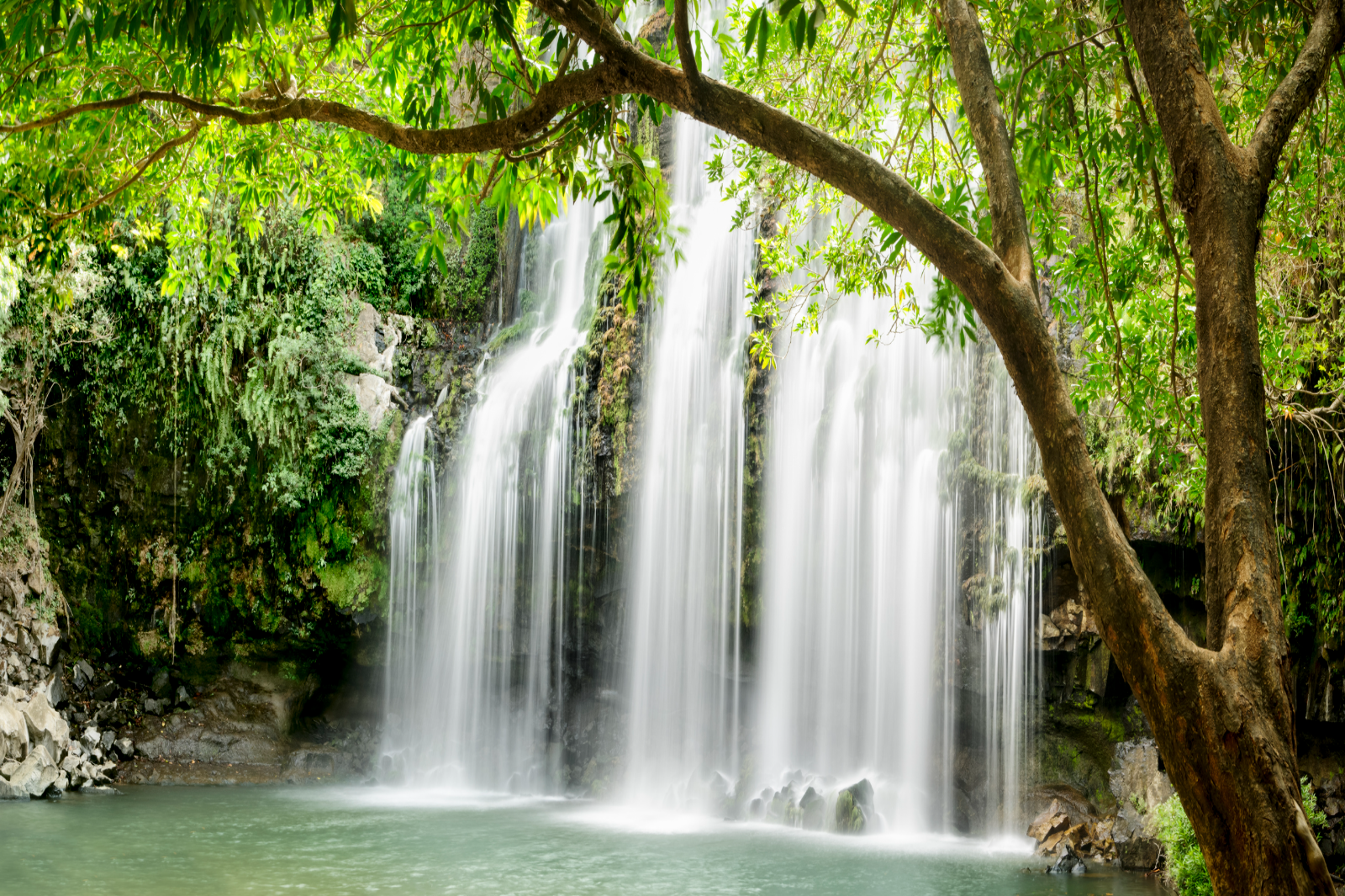 Costa Rica Unveiled: From Volcanic Springs to the Monteverde Canopies