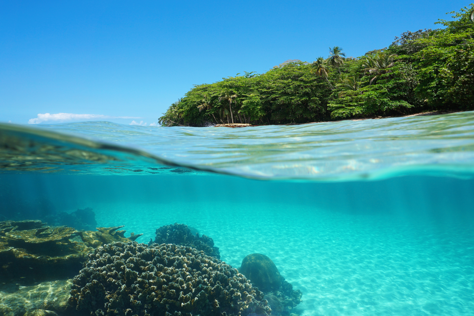 Puerto Viejo
