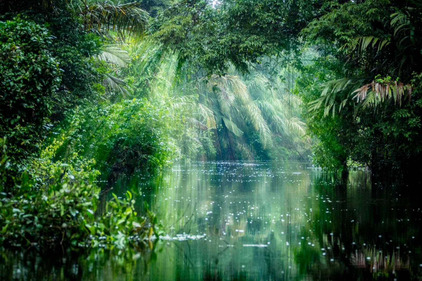 Costa Rica Unveiled: Tortuguero Canals, Volcanic Peaks & Pacific Shores