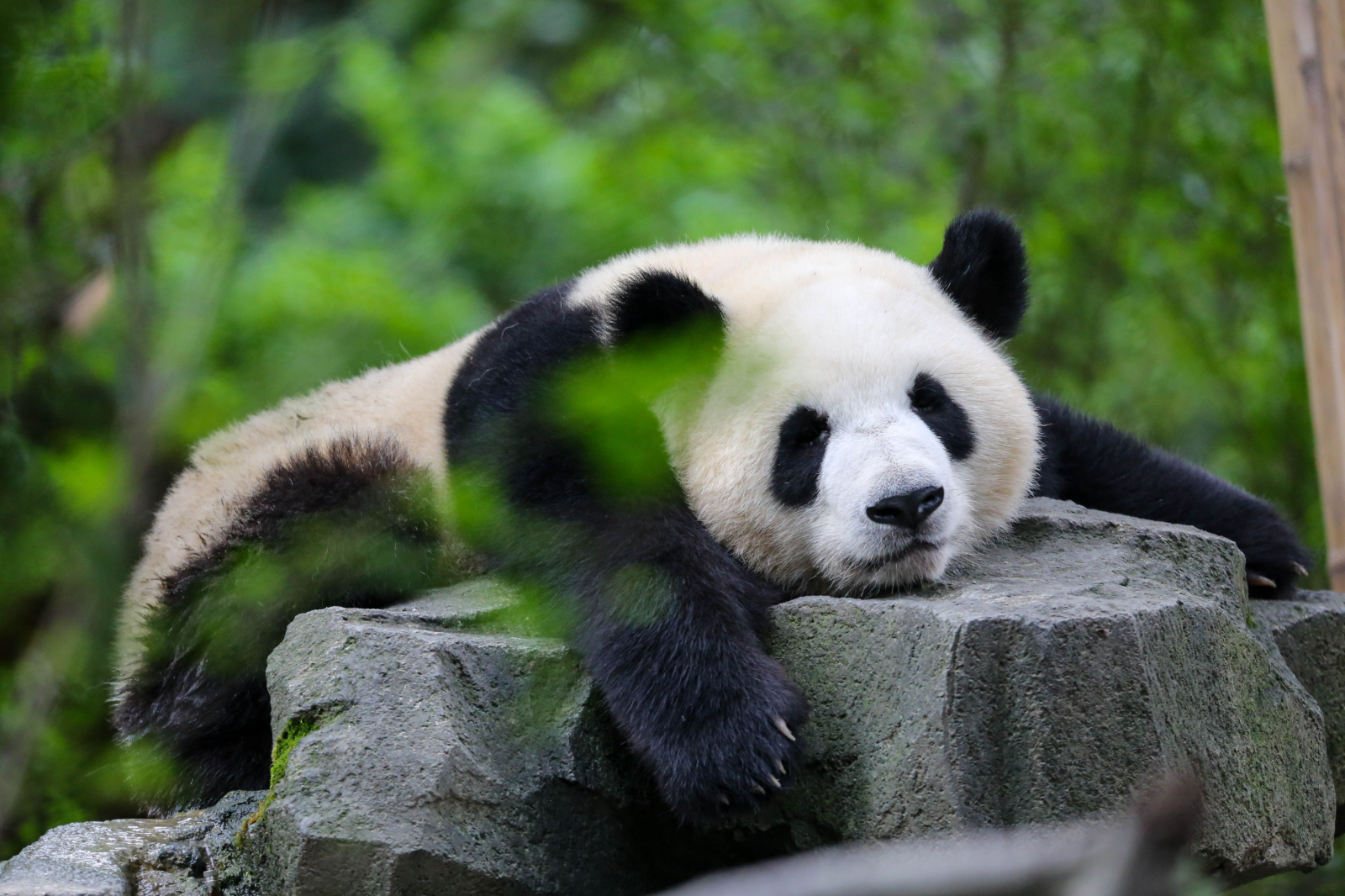 China Wonders Unlocked: Beijing & Shanghai Your Way