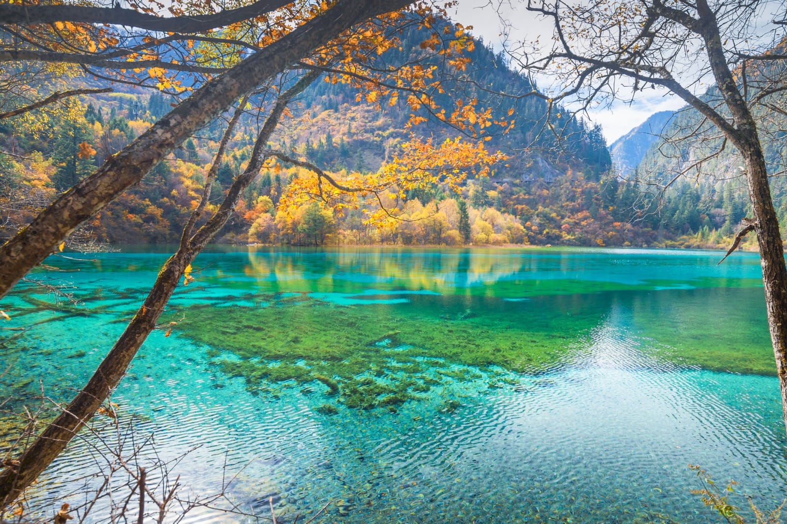 Jiuzhaigou Scenic Area