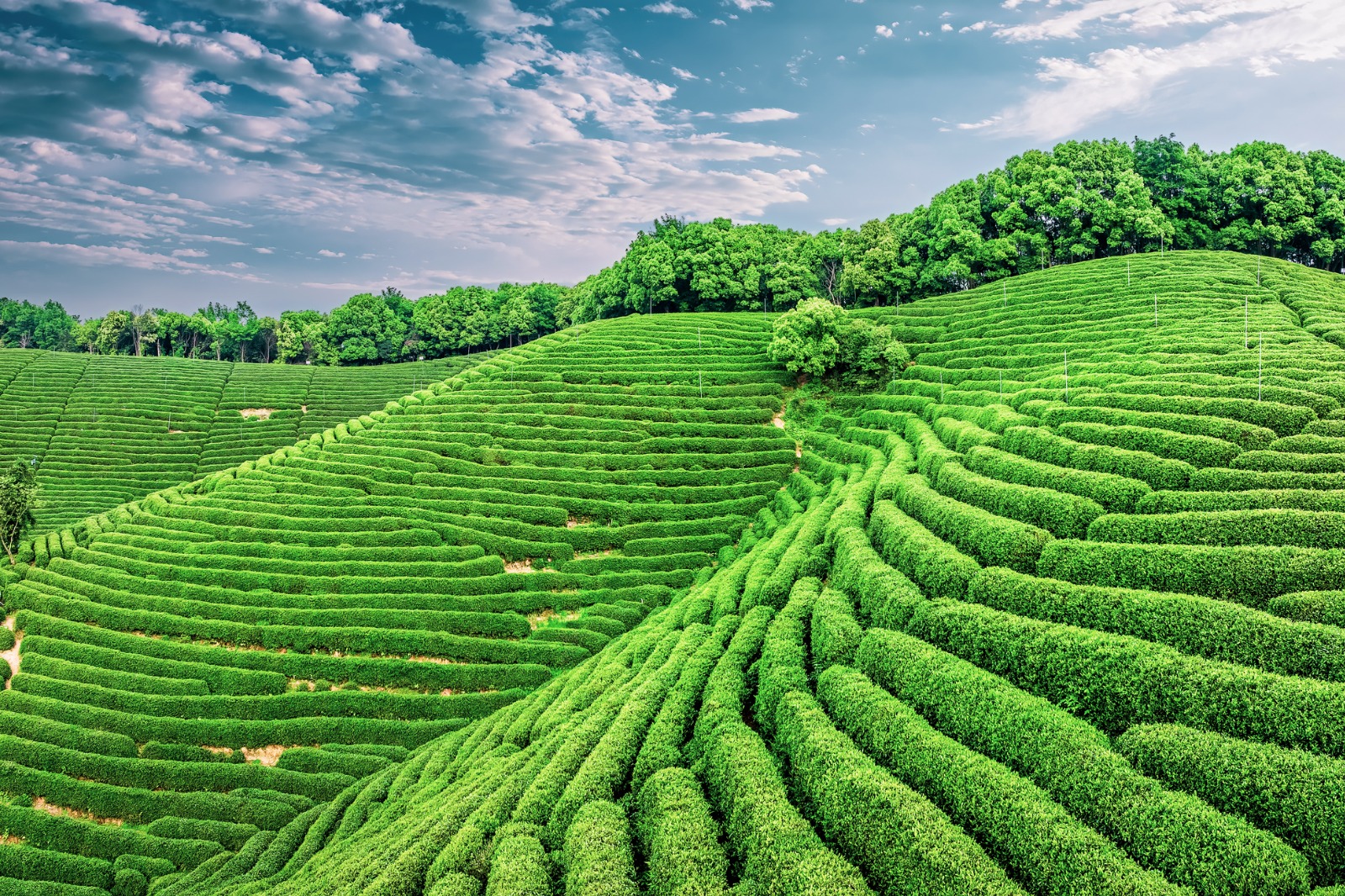Hangzhou