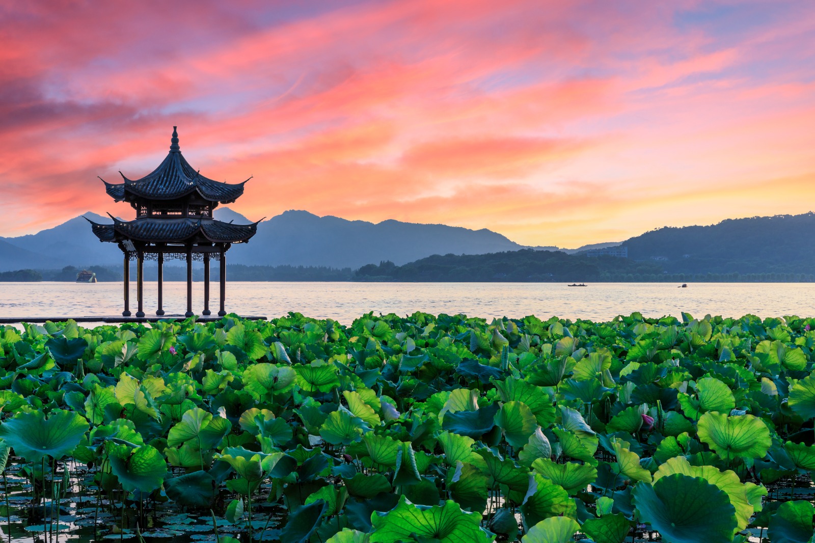 Chilling In China: Beijing, Shanghai, Hangzhou & Hong Kong