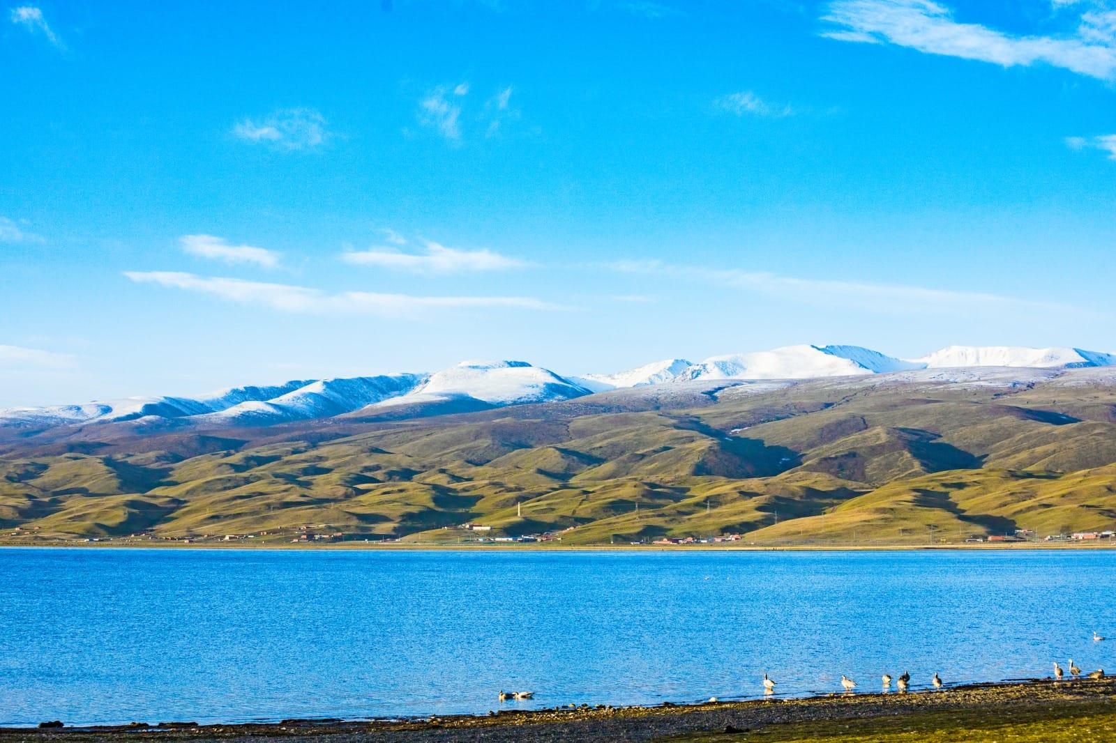 Xining to Qinghai Lake Erlangjian Scenic Area to Chaka