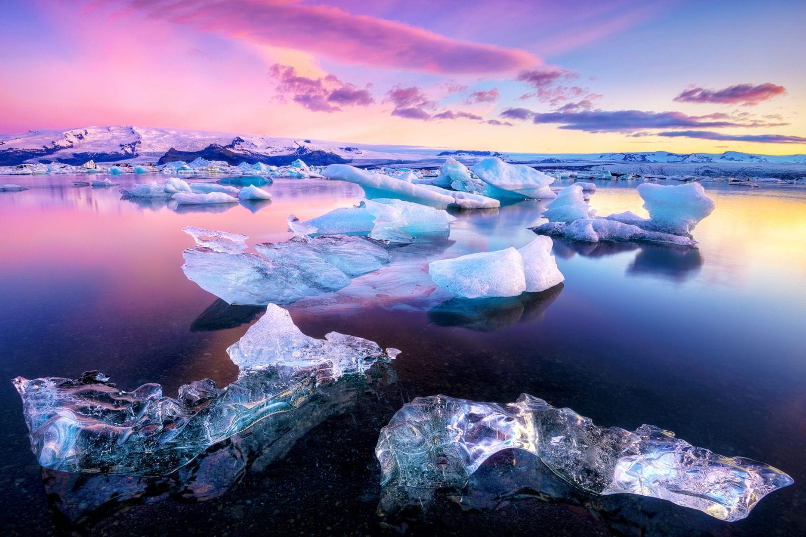 Iceland’s Arctic Grace: A Journey to the Four Corners