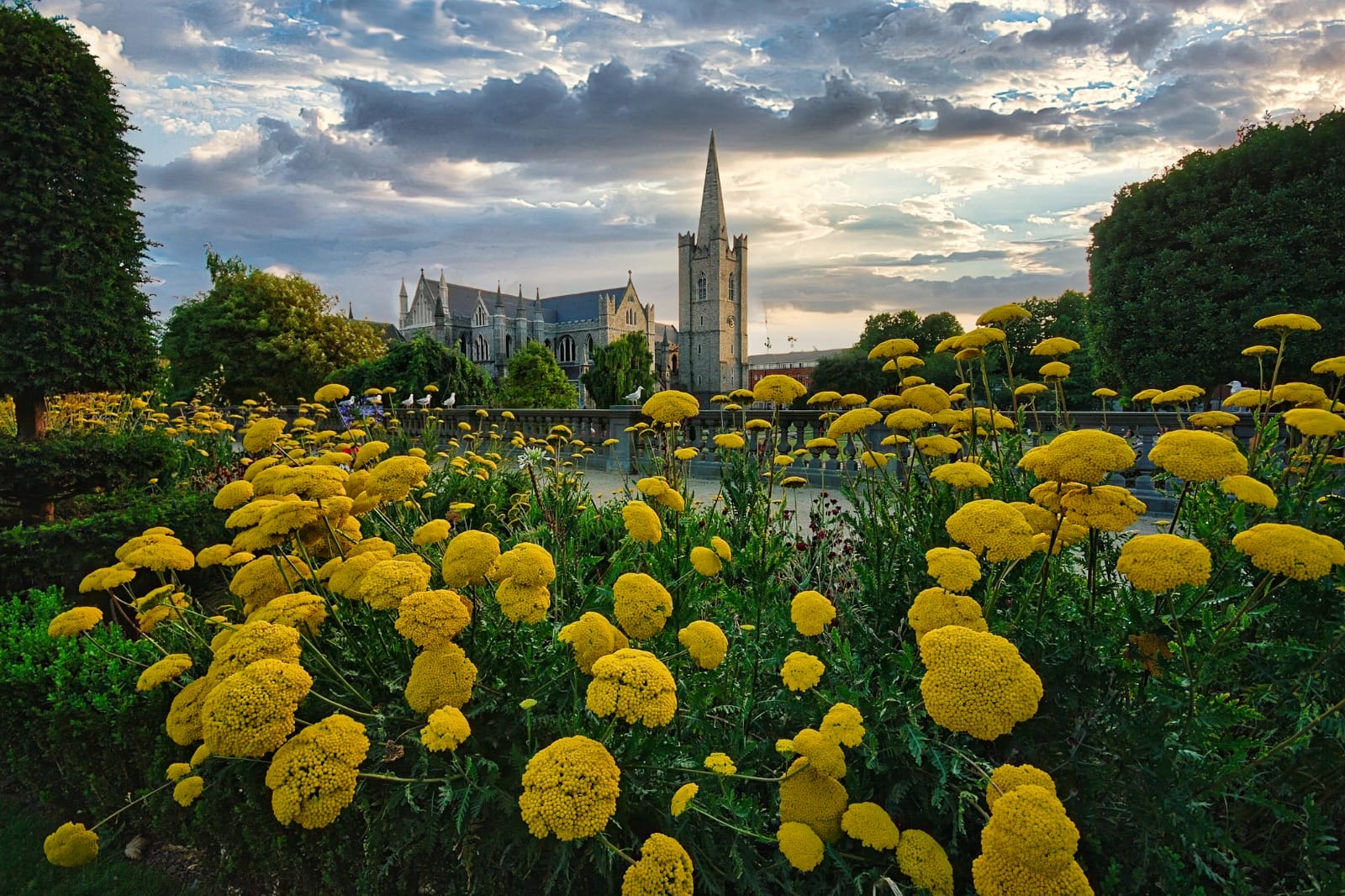 Dublin