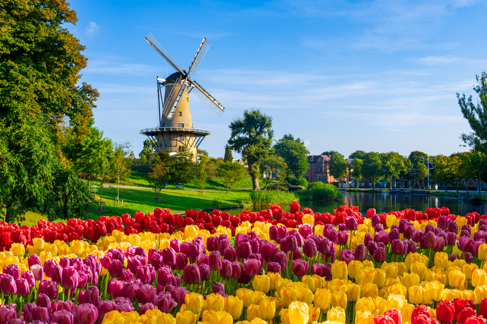 Amsterdam, Berlin and Prague