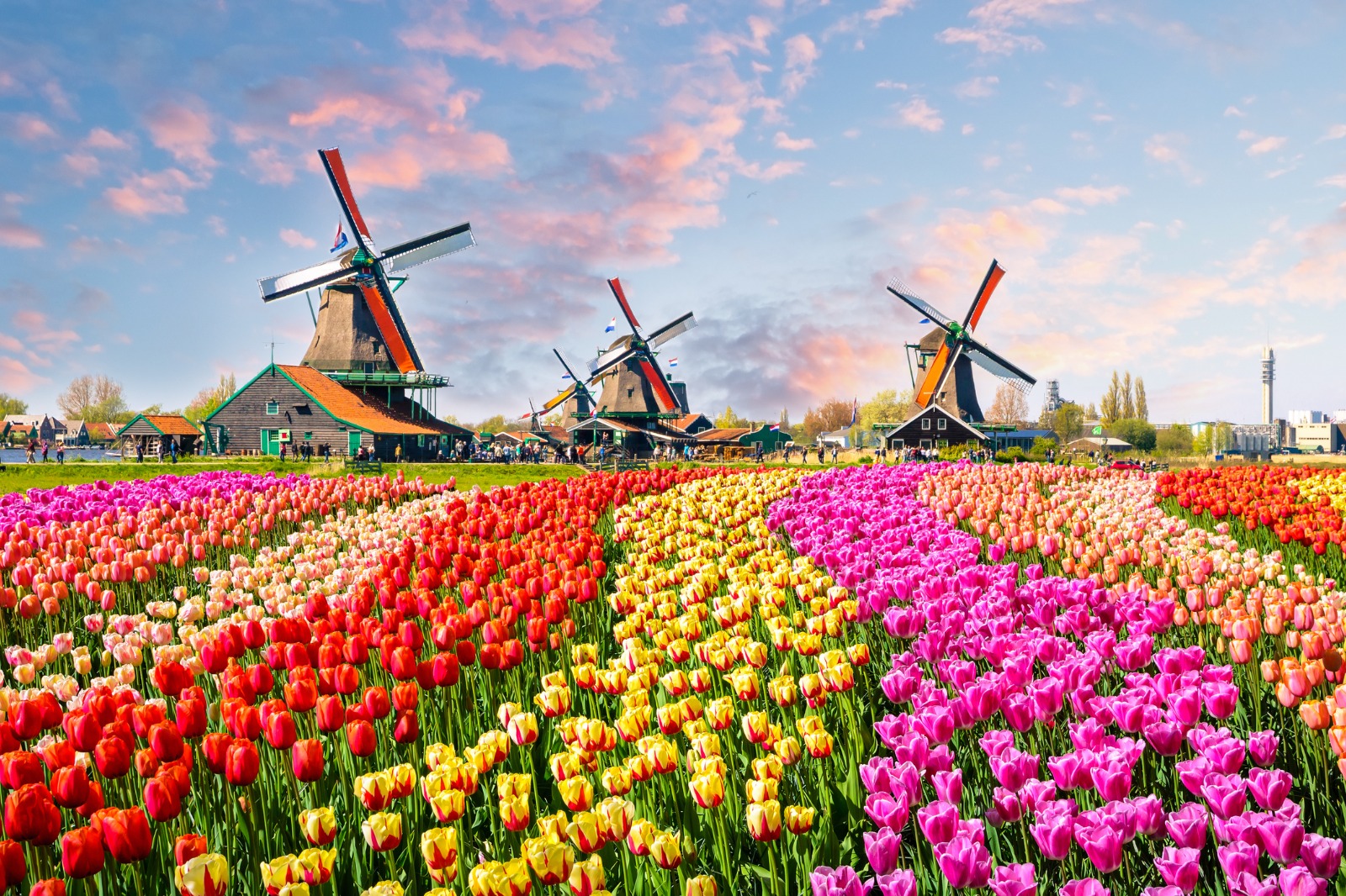 Artistry Across Europe