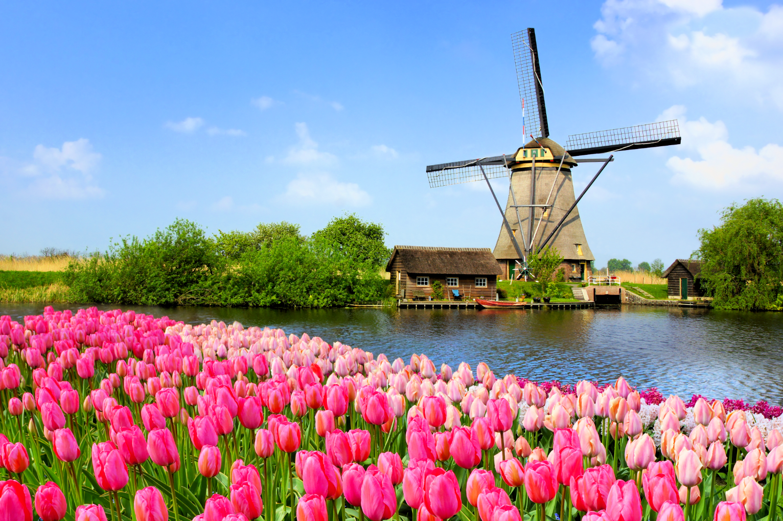 Amsterdam to Zaanse Schans to Volendam to Marken to Amsterdam