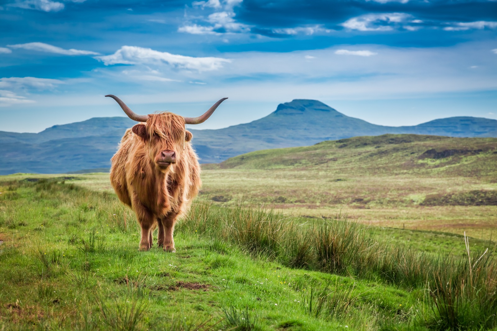Britain & Ireland Uncovered: London, Edinburgh & Ireland at Leisure