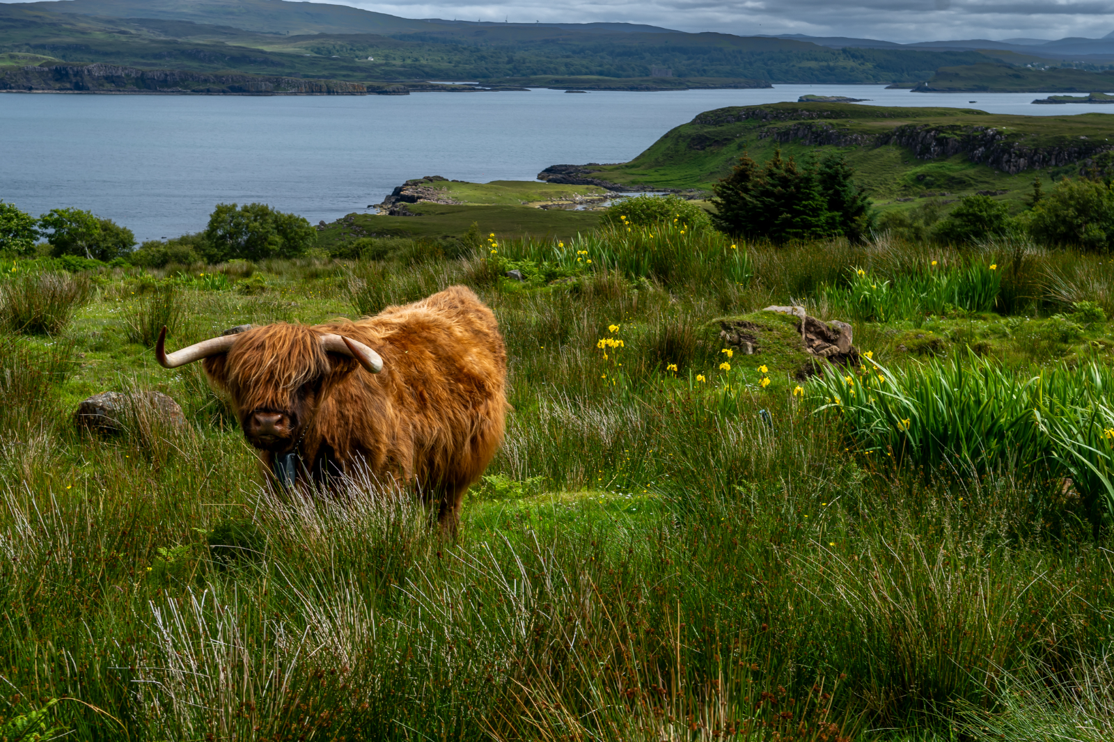 Edinburgh to Pitlochry to Inverness to Loch Ness to Glasgow