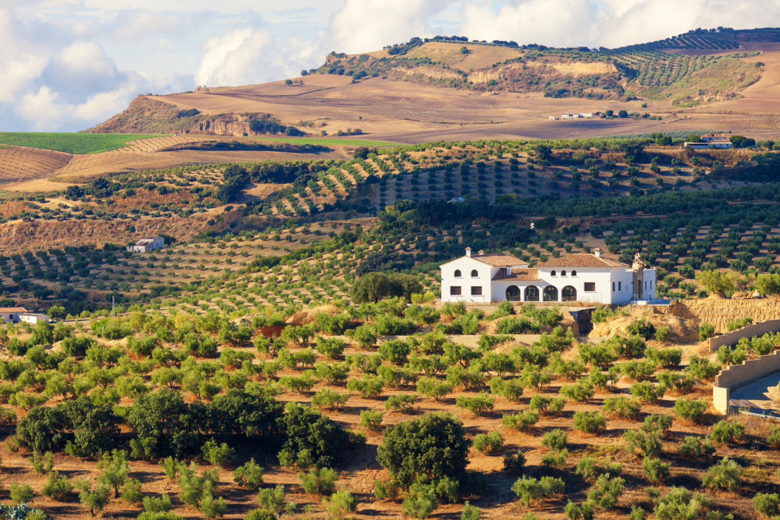 An Andalusian Story