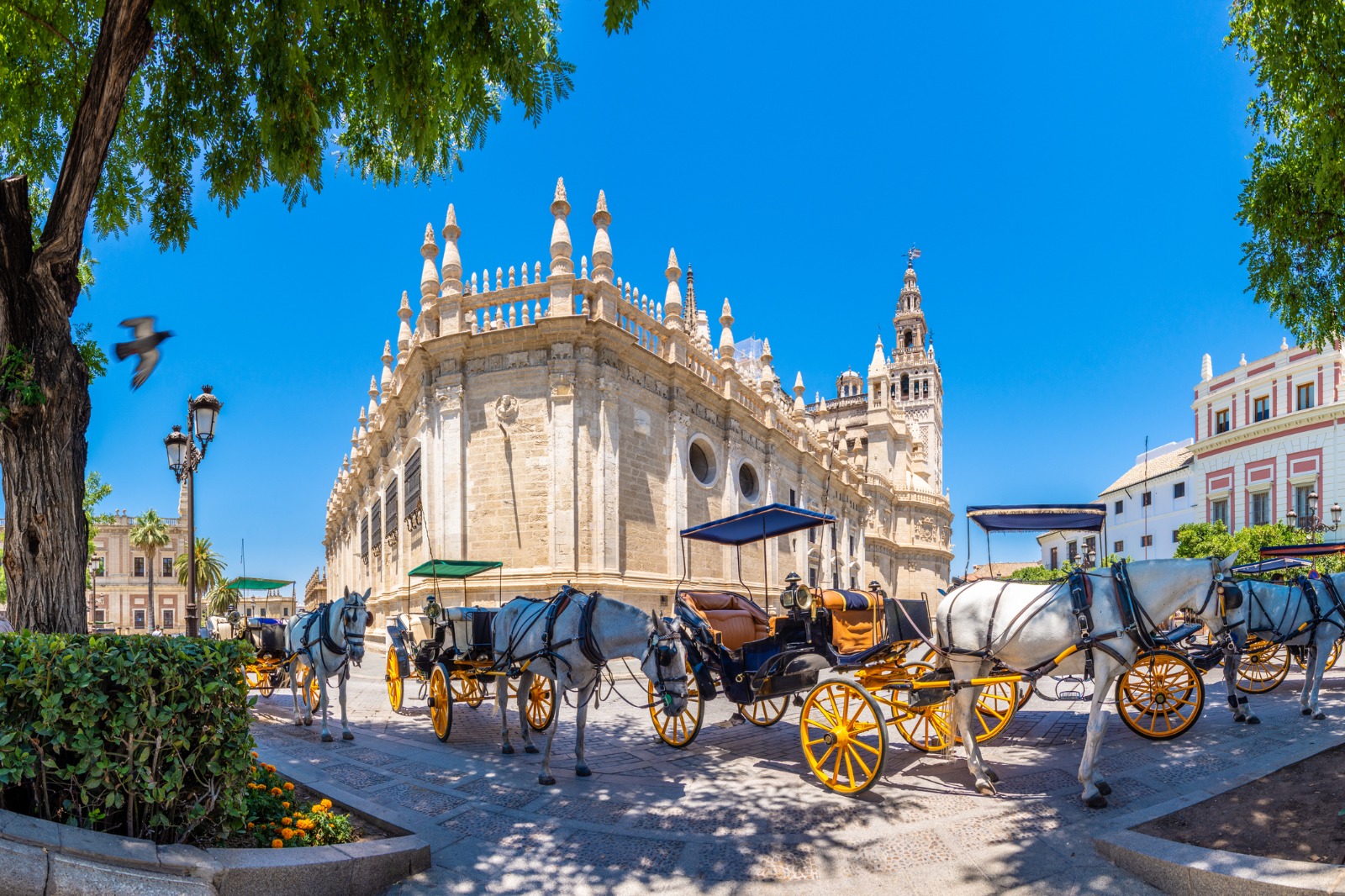 Seville