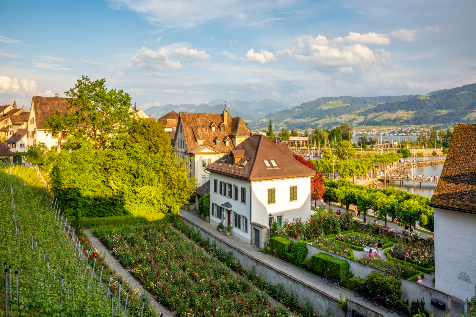 Zurich to Rapperswil to Zurich