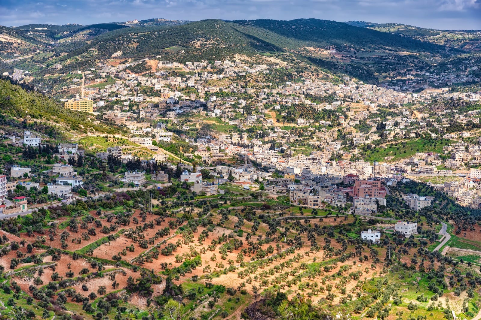 Amman to Jerash to Ajloun to Amman