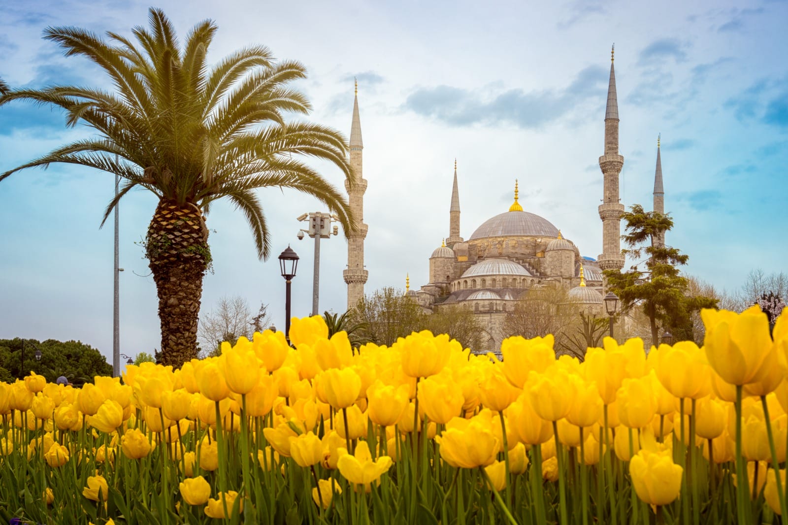 Grand Turkish Elegance: Roses, Ruins & Cultural Wonders