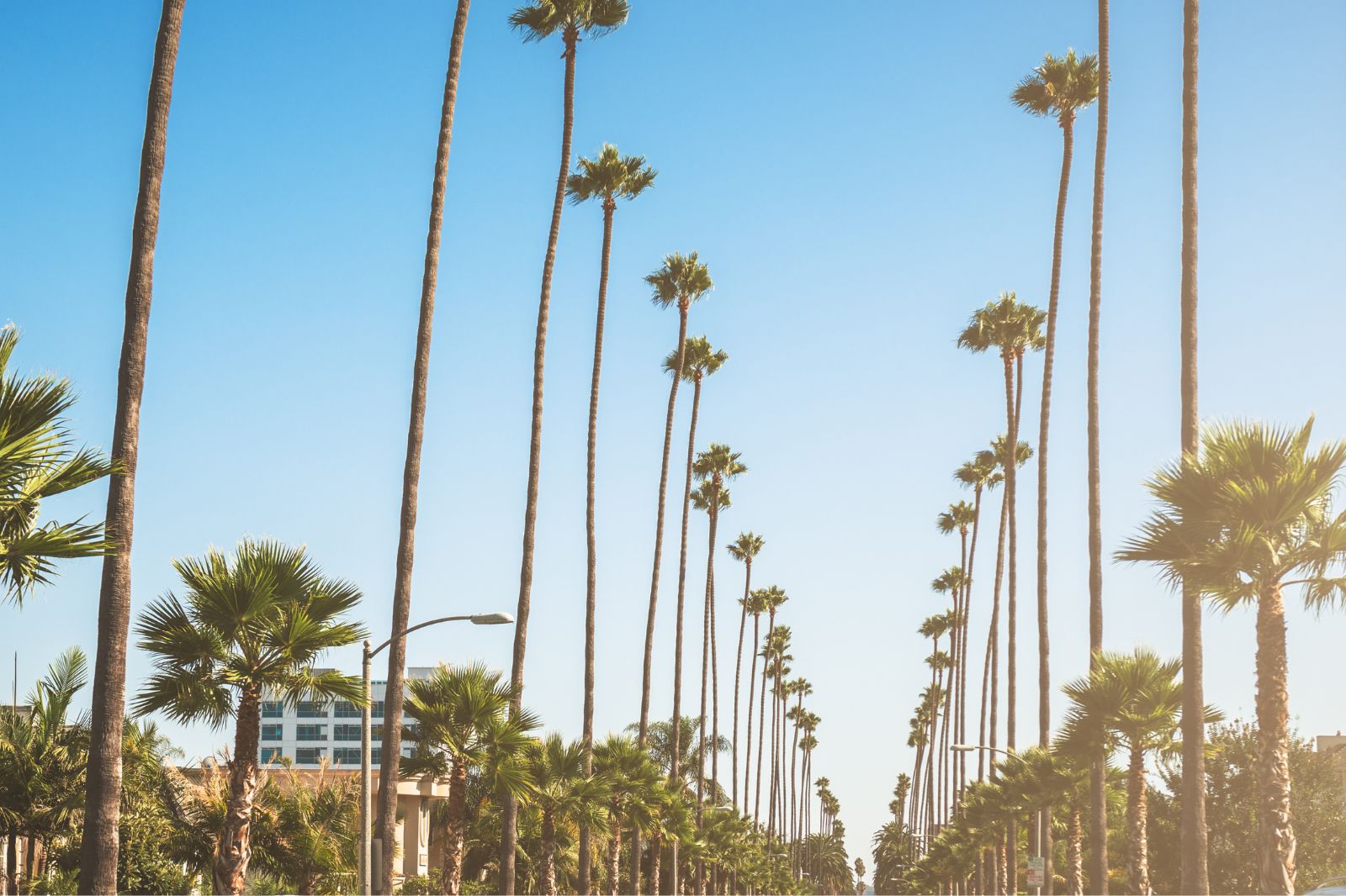 Los Angeles