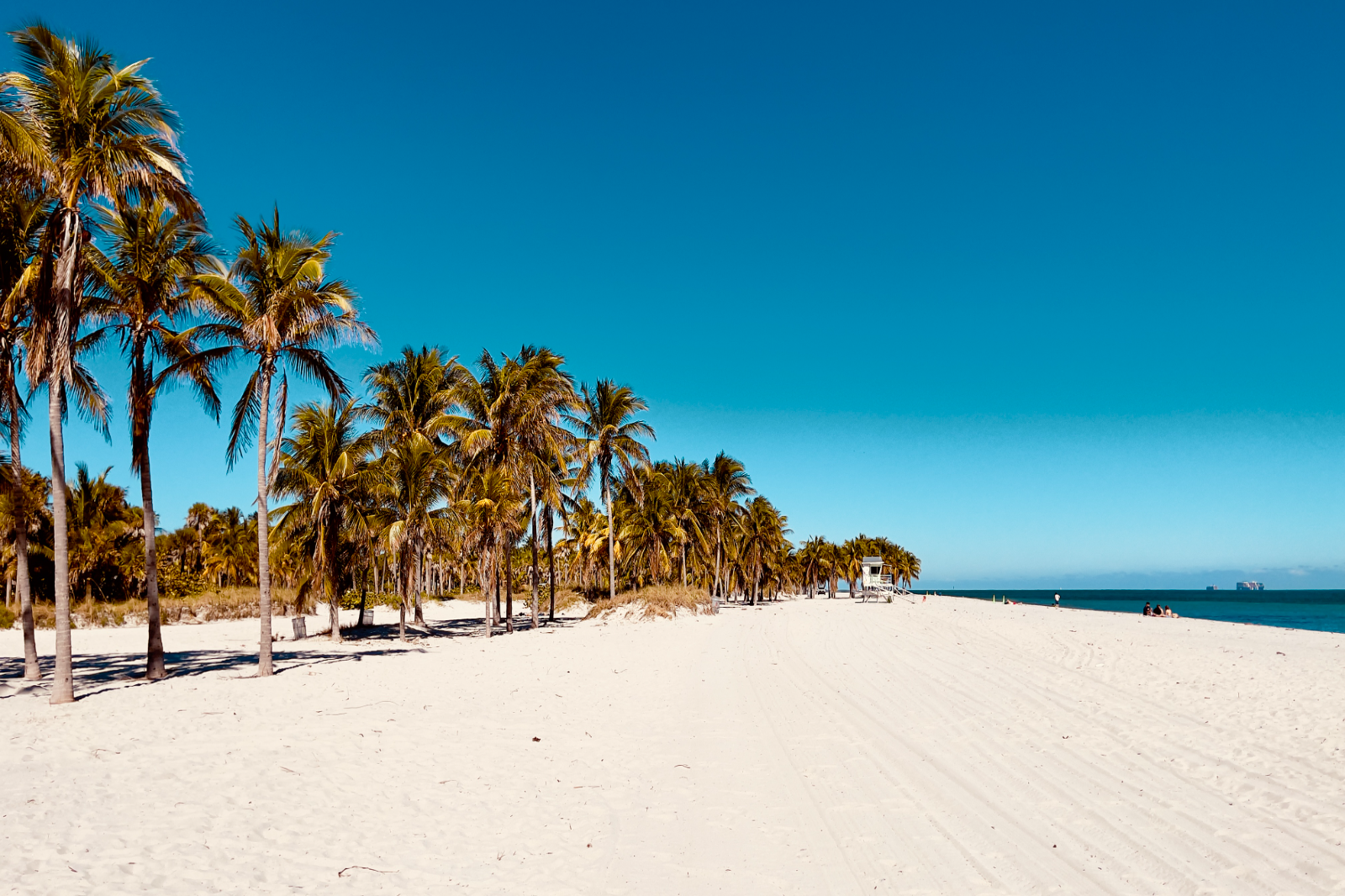 Depart & Arrive in Miami