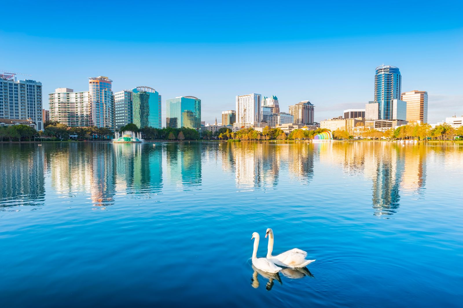 Discover Orlando Your Way