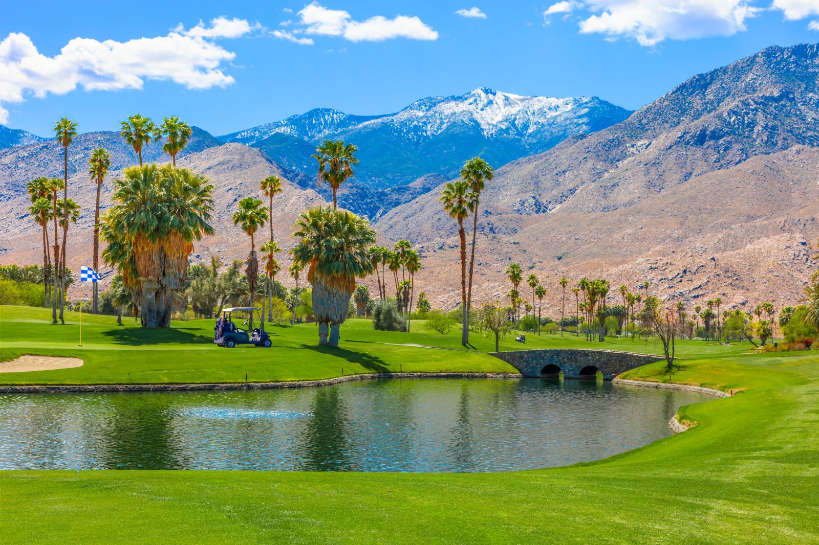 Palm Spring