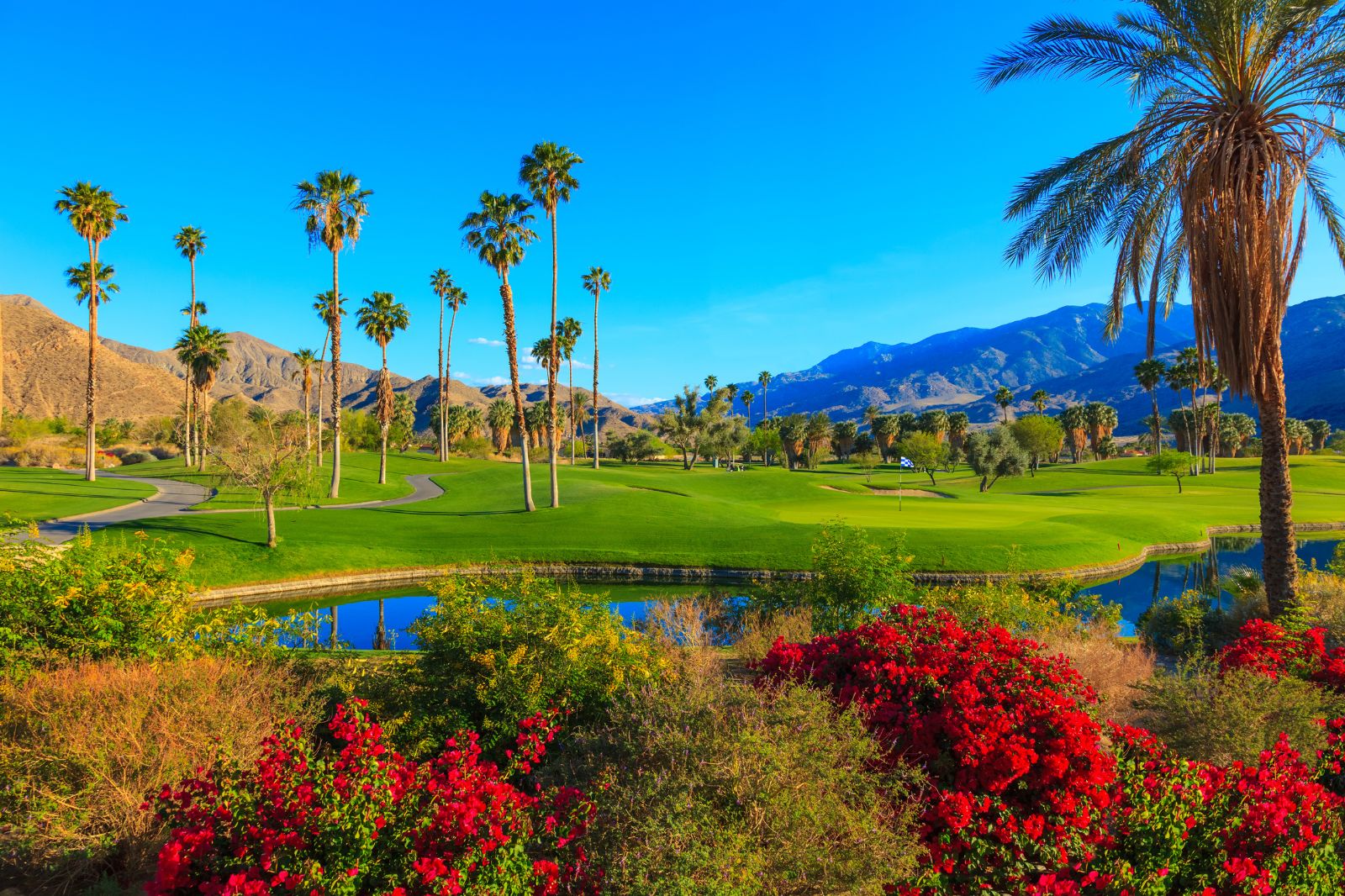 Discover Palm Spring Your Way