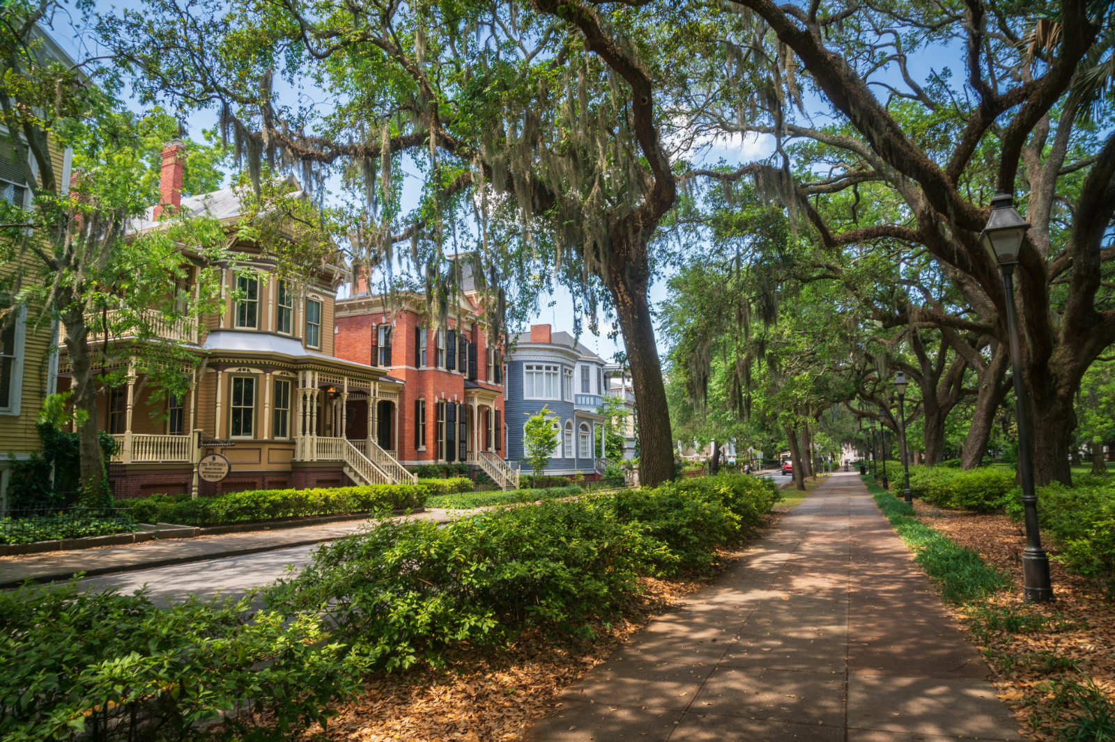 Savannah