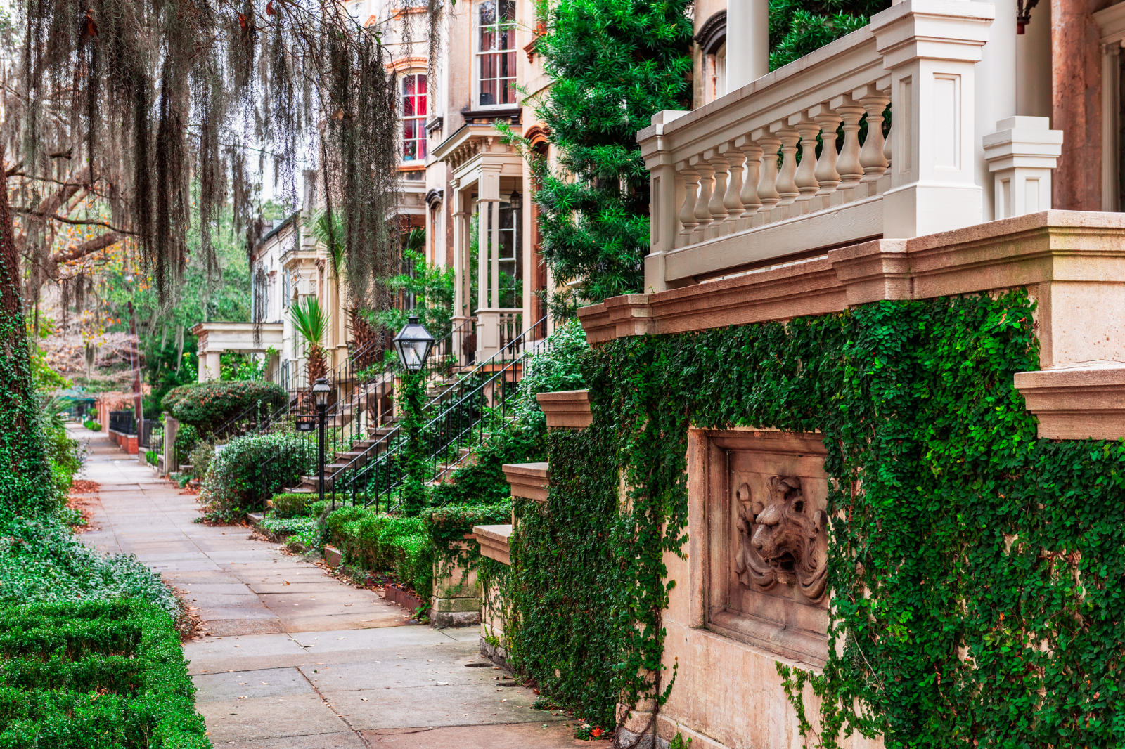 Savannah