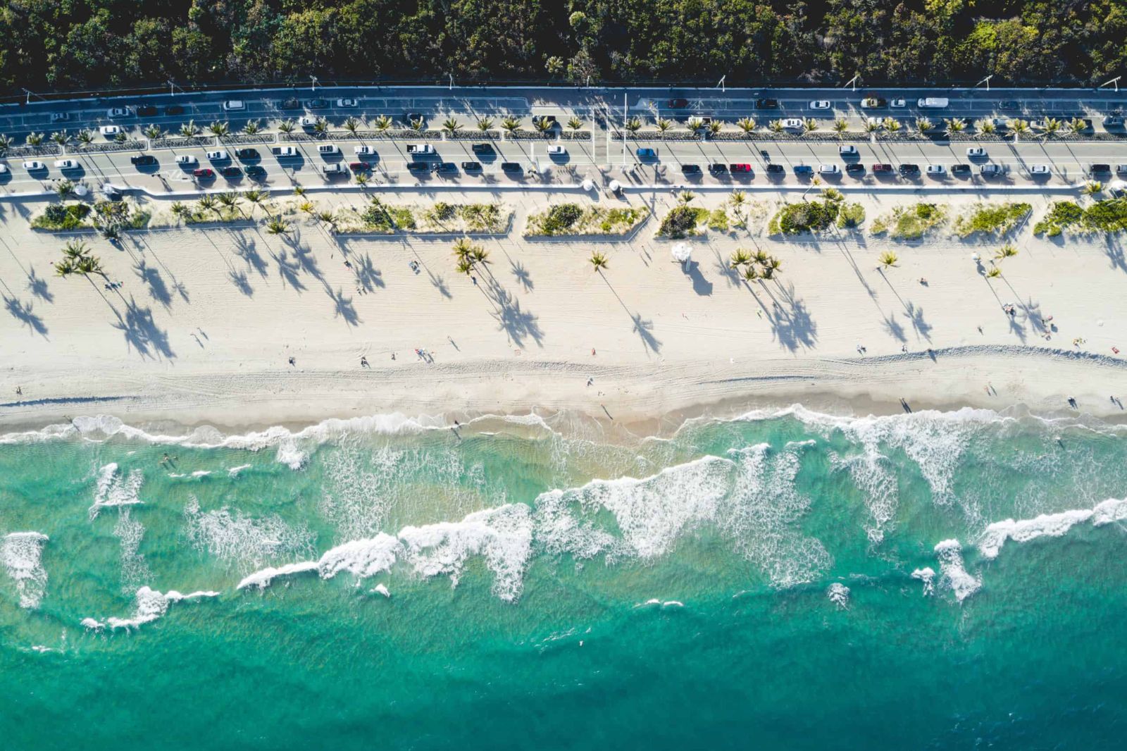 Discover Fort Lauderdale Your Way