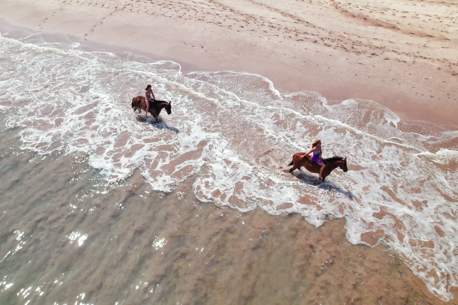 Costa Rica Discovery: A Journey from Misty Forests to Golden Sands