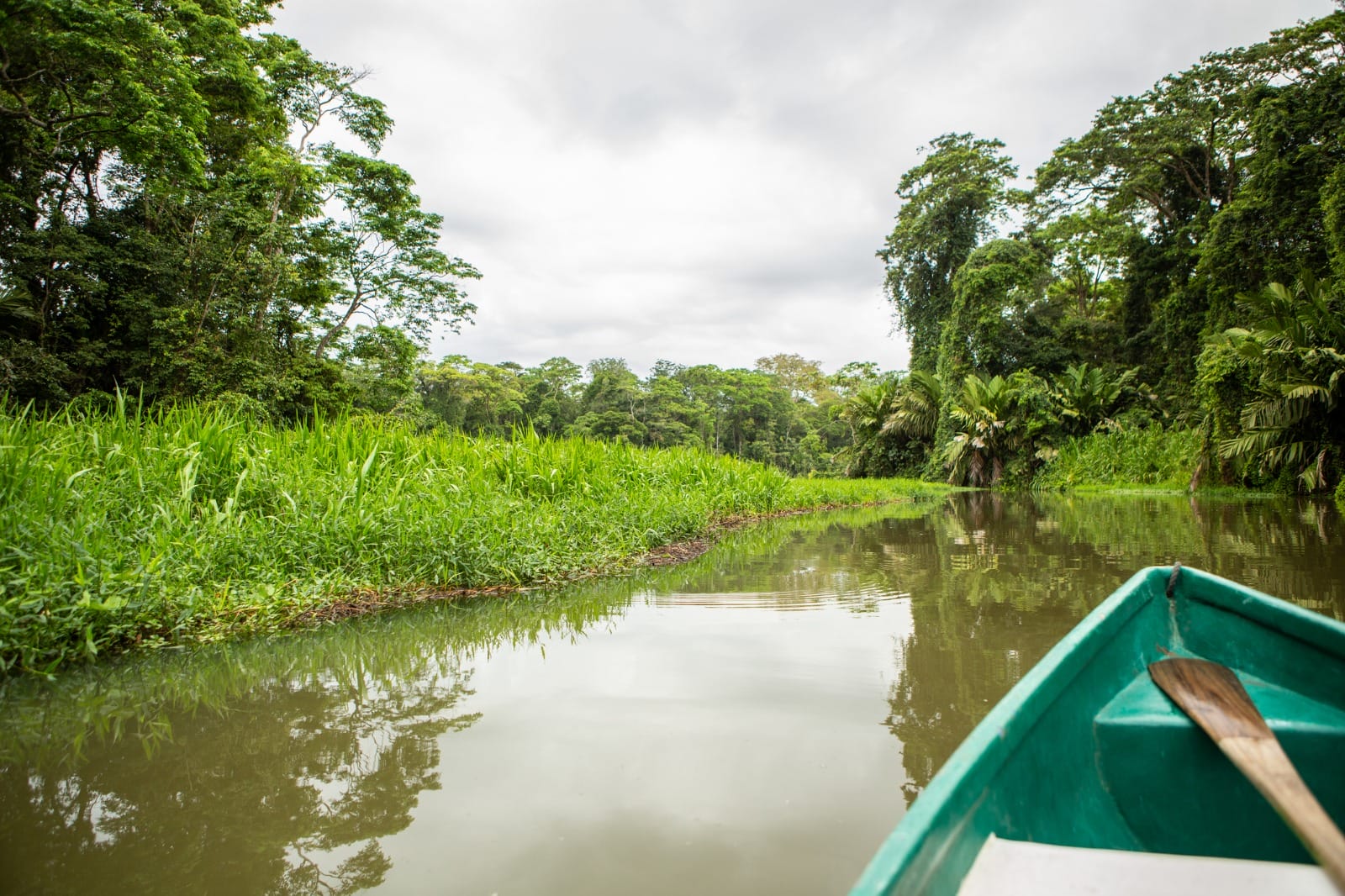 Tortuguero