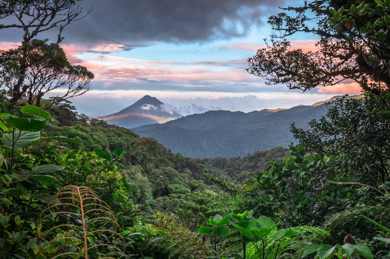 Arenal