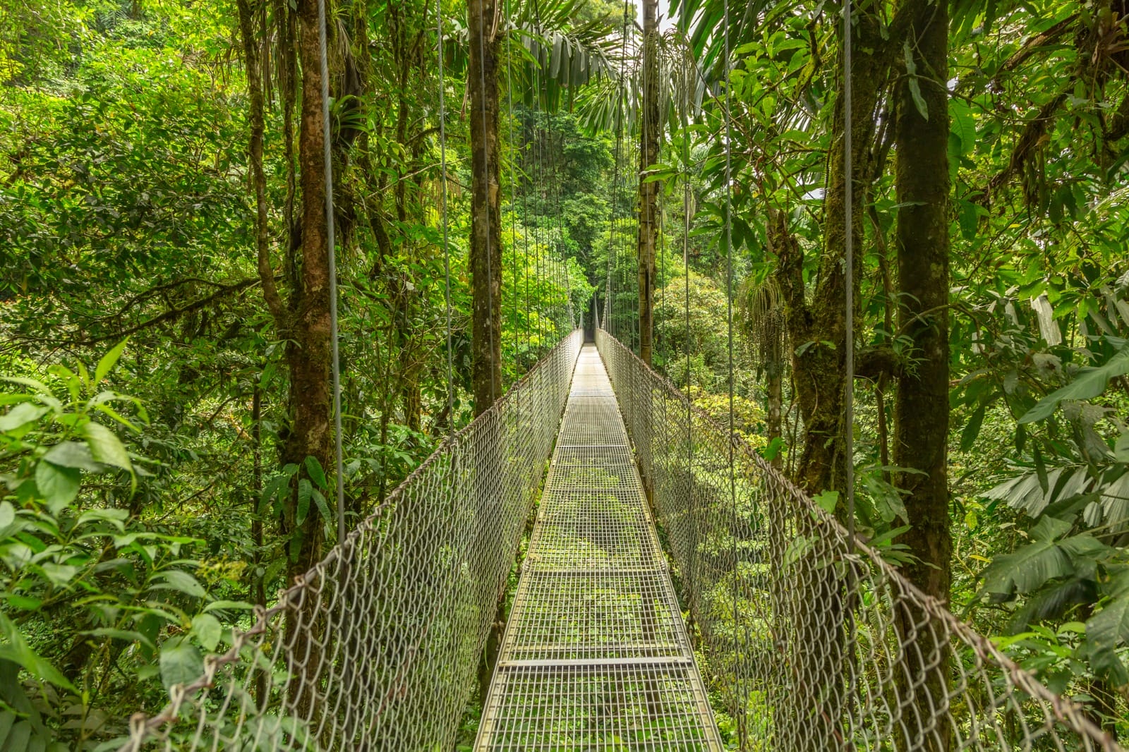 Monteverde