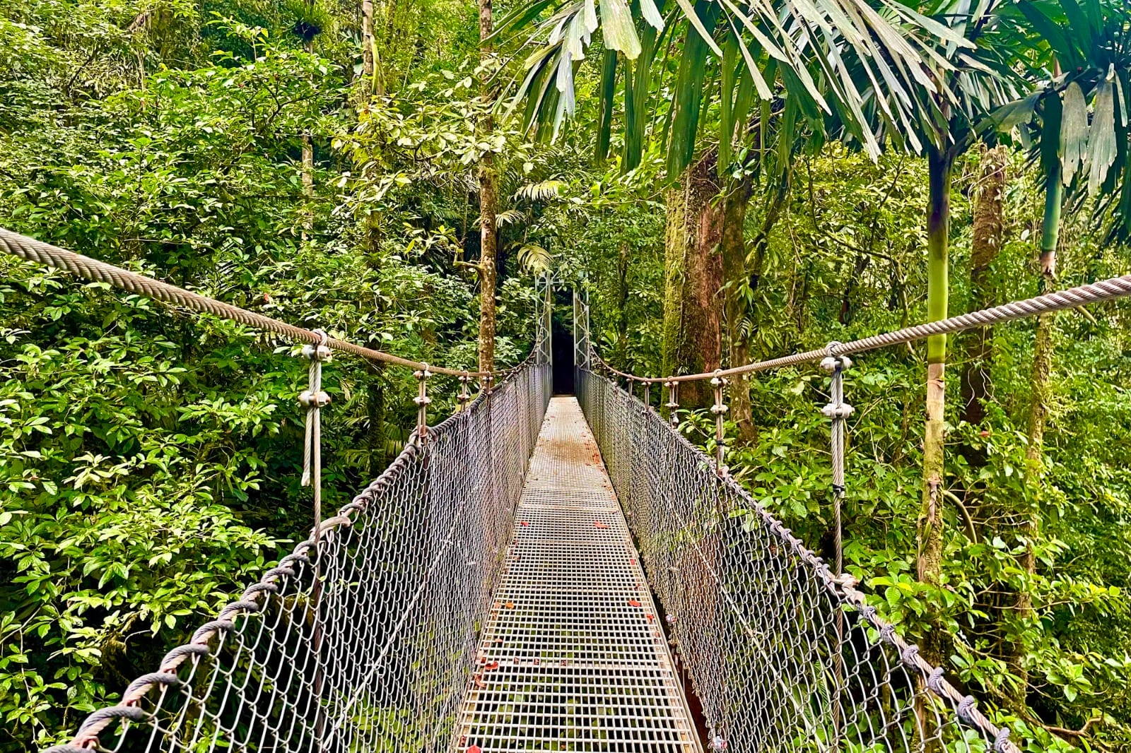 Arenal