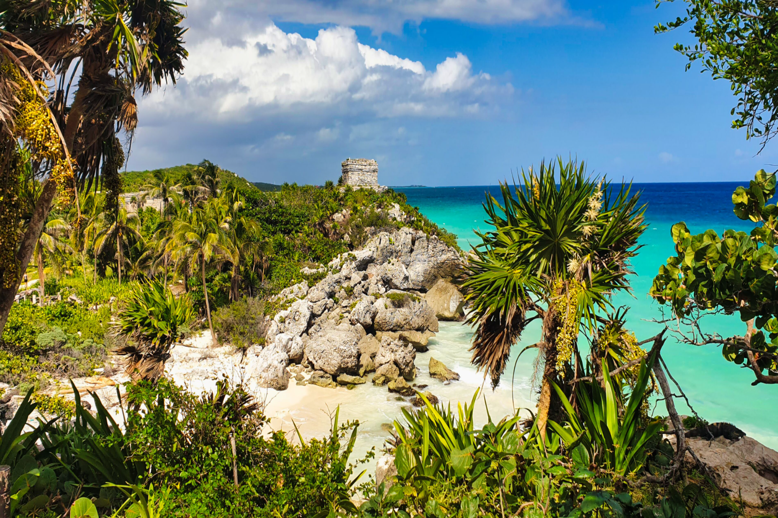 Depart and Arrive in Tulum