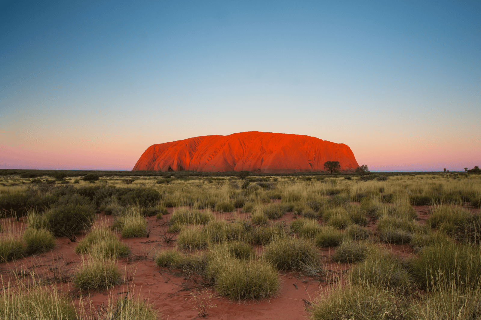 Spotlight on Australia: Cities, Reef & Rainforest