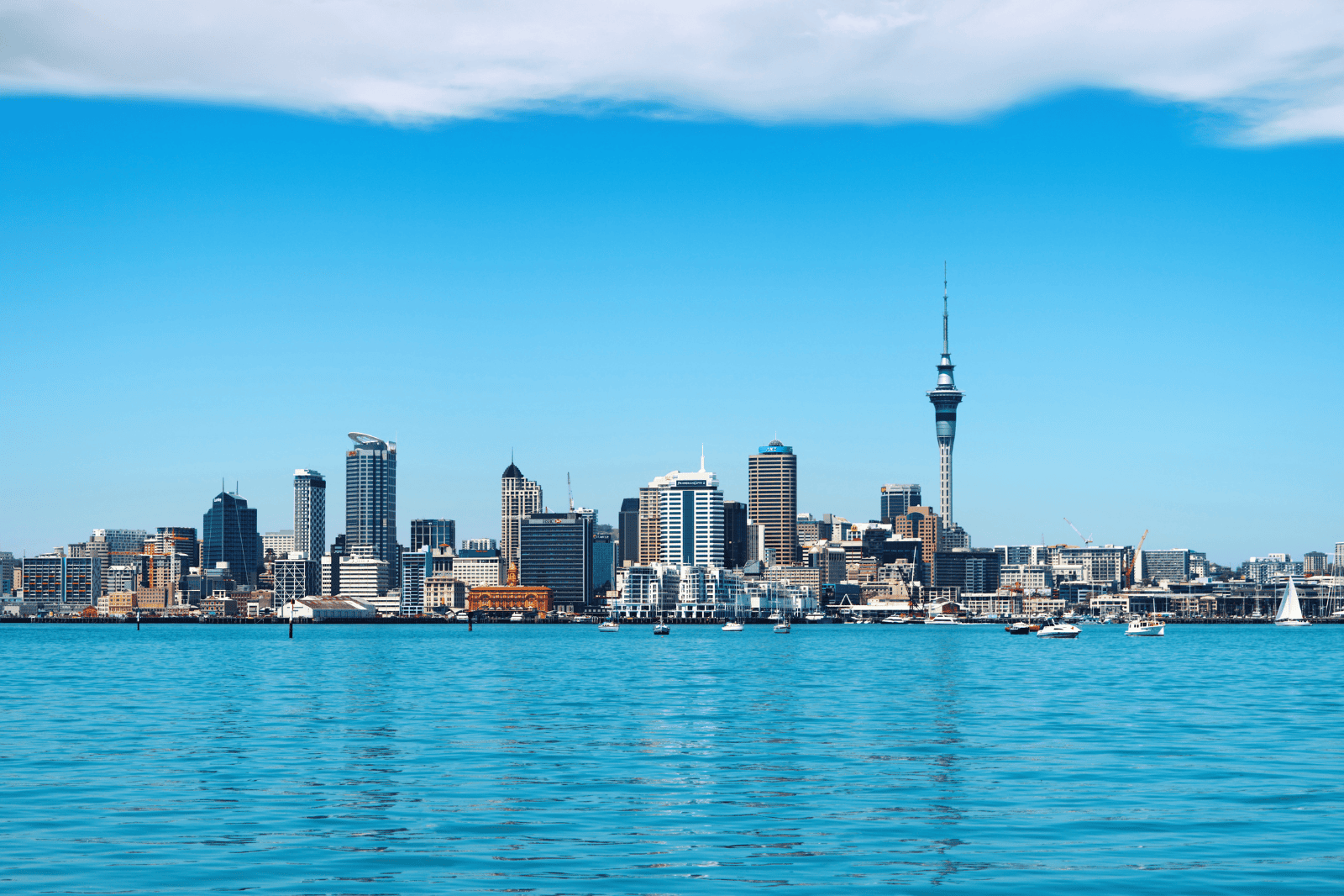 Arrive in Auckland