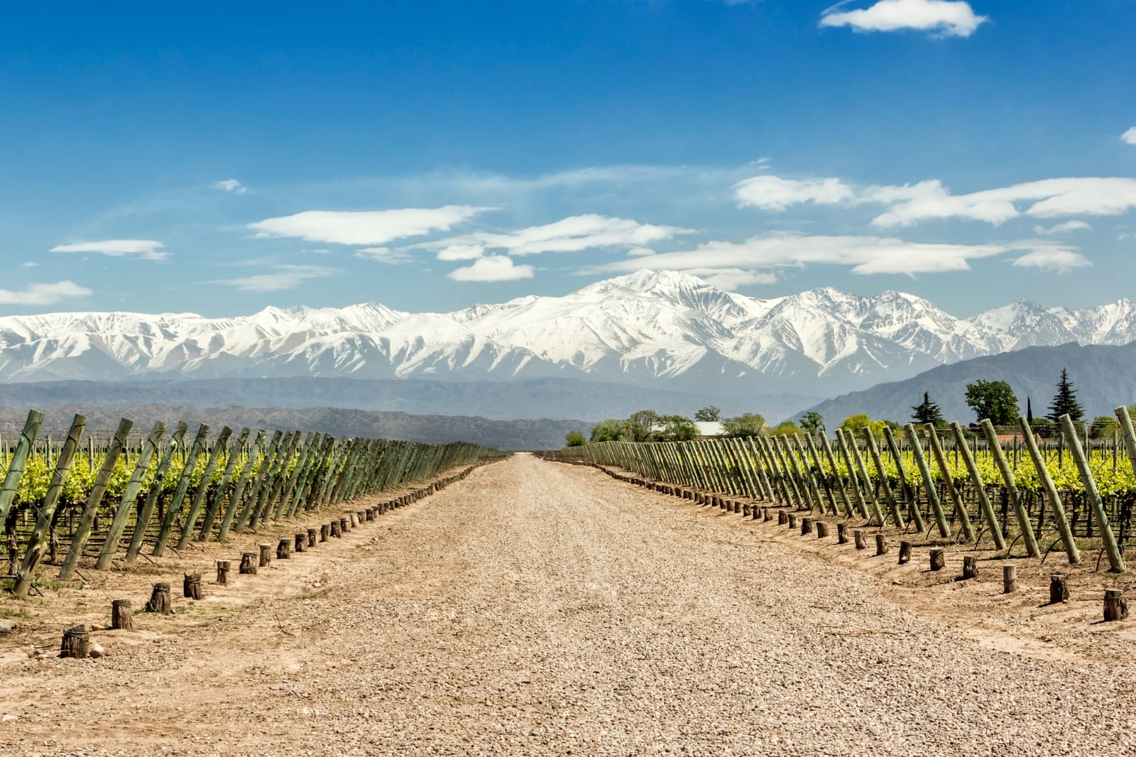 Mendoza
