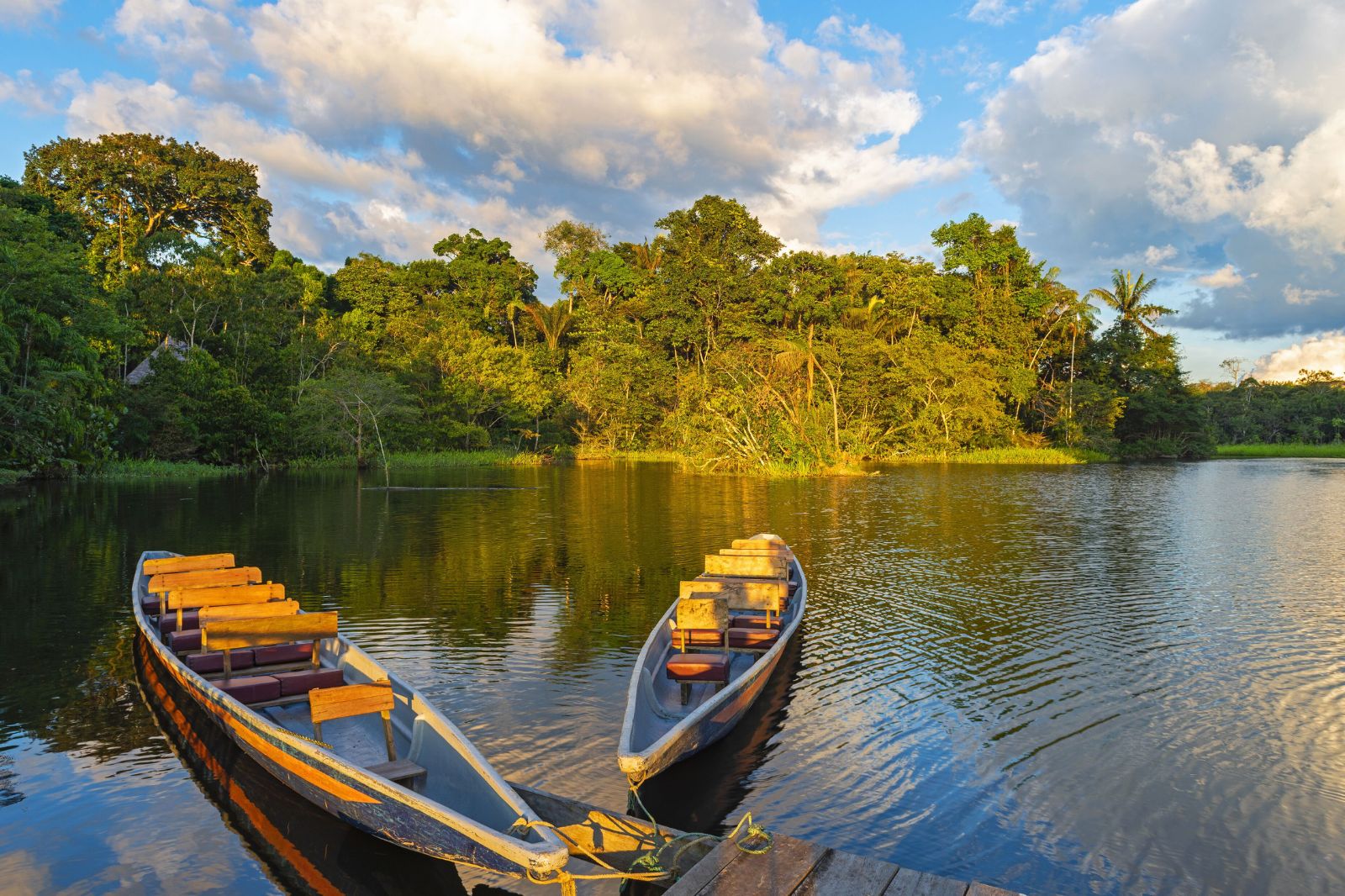 Manaus to the Amazon