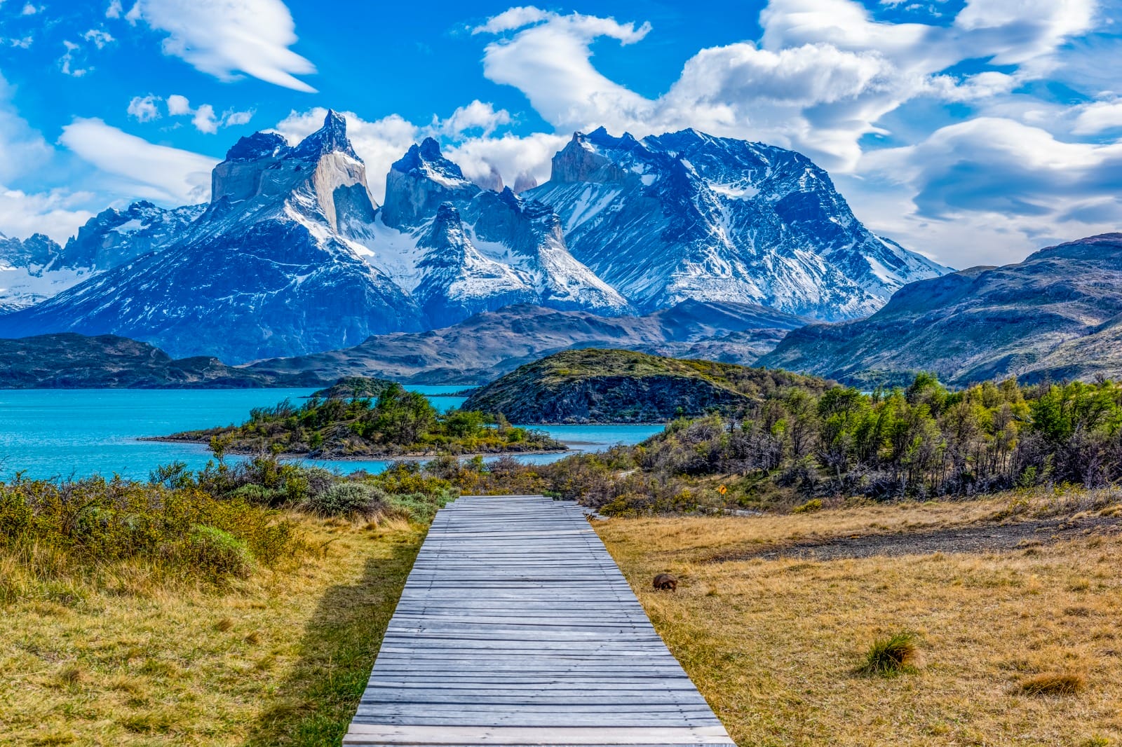 The Chilean Expedition: Chile & Argentina Patagonia’s Wild Wonders